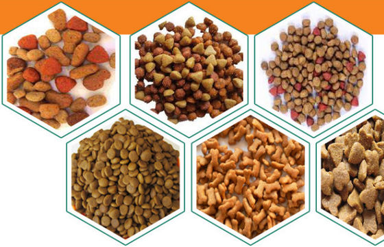 Équipement d'extrusion de nourriture pour animaux de compagnie à double vis flexible 200-250 kg/h