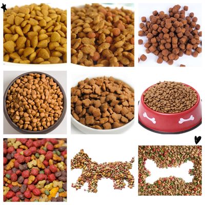 Machine de transformation des aliments pour animaux de compagnie secs / machine de fabrication avancée de nourriture pour chiens