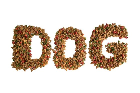 Siemens Motor Une variété de lignes de production d'aliments pour animaux de compagnie avec plusieurs rendements et modèles