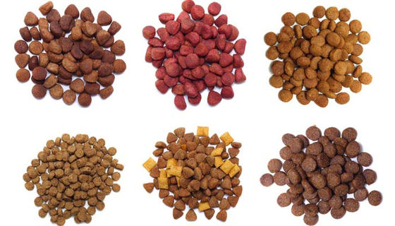 Machine de transformation des aliments pour animaux de compagnie secs / machine de fabrication avancée de nourriture pour chiens