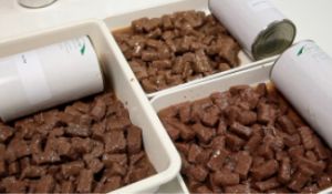 Ligne professionnelle de transformation d'aliments pour animaux de compagnie / machines pour l'alimentation animale