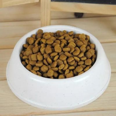 Machine à pellets de nourriture pour chiens de 100 kg/h