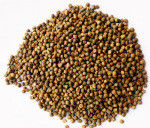 Ligne de production d'aliments pour poissons en acier inoxydable 200-300 kg/h