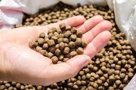 Machinerie de transformation automatique de granulés flottants pour aliments pour poissons
