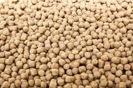1 à 2 tonnes/h ligne de production d'aliments pour volailles
