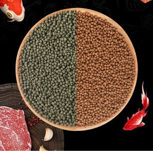 Machine de nourriture pour poissons flottante à double vis automatique de 500 kg/h